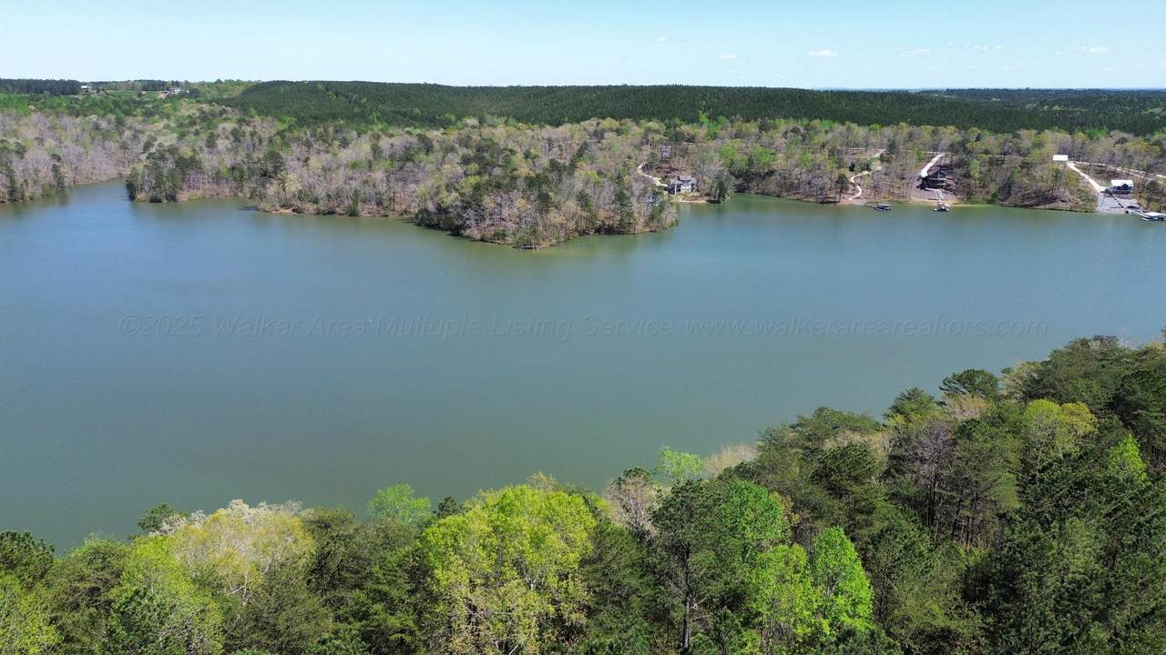LOT 2 County Road 204 - Photo 1