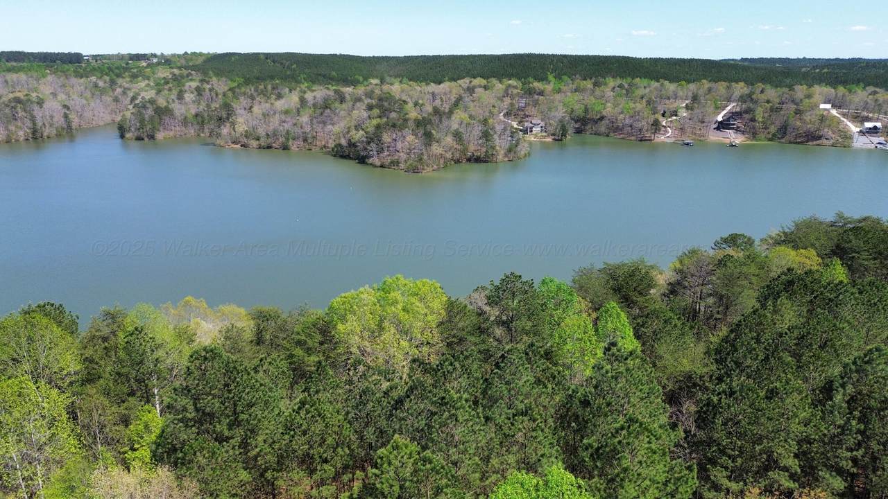 LOT 3 County Road 204 - Photo 1