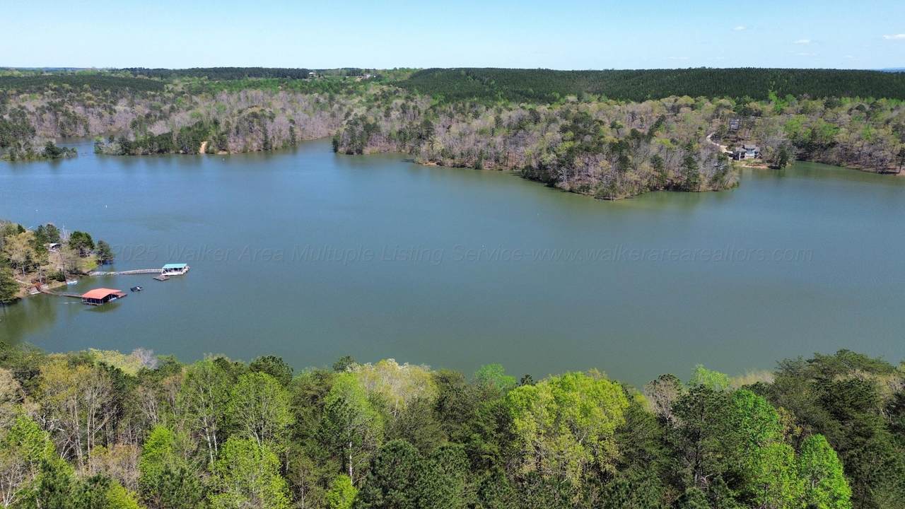 LOT 4 County Road 204 - Photo 1