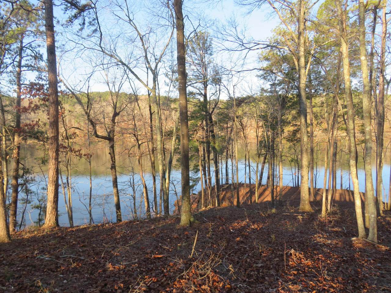 LOT #3 Rock Ridge Lane - Photo 1