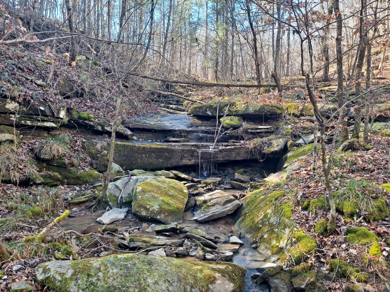 https://bt-photos.global.ssl.fastly.net/walker/1280_boomver_1_26-327-2.jpg