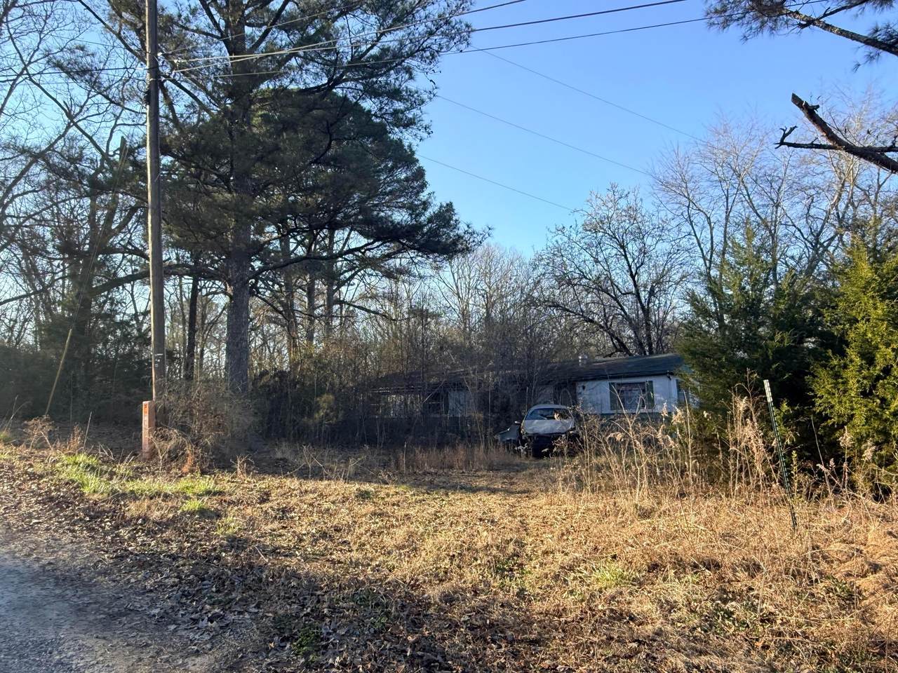 123 Flippo St - Photo 1