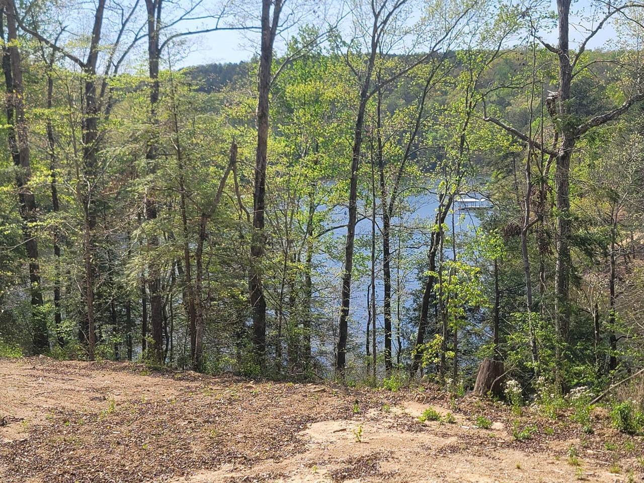 458 Co Rd 4036 - Photo 1