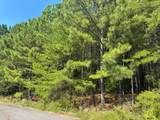  Lot 4 Kimwood Subdivision - Photo 2