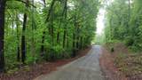 LOT 1 County Road 198 - Photo 5