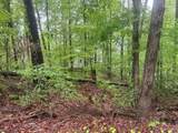 LOT 1 County Road 198 - Photo 6