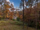 0 Raccoon Branch Rd - Photo 18
