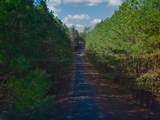 LOT 20 Bear Cove Ln - Photo 9