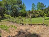 156 County Road 232 - Photo 29