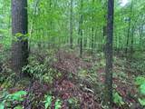 LOT 1 County Road 198 - Photo 10