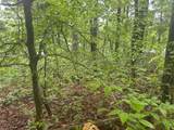 LOT 1 County Road 198 - Photo 8