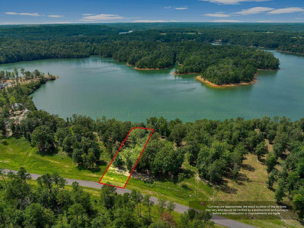 https://bt-photos.global.ssl.fastly.net/walker/orig_boomver_1_25-2090-2.jpg