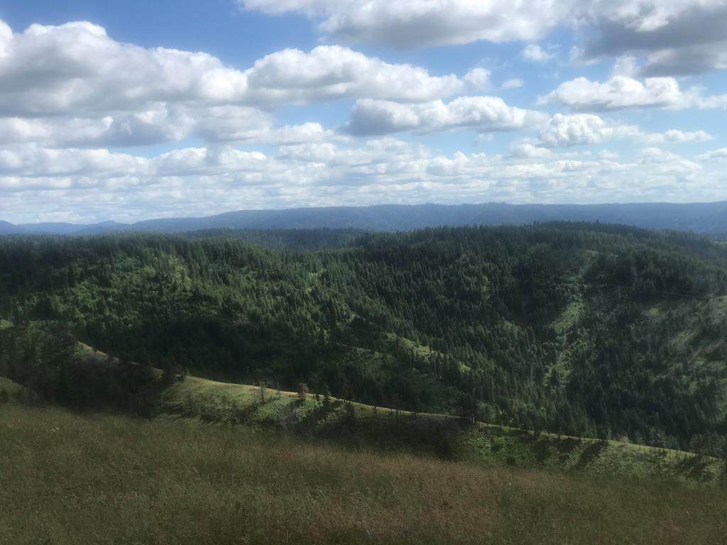 tbd Blacksnake Ridge Road - Photo 1