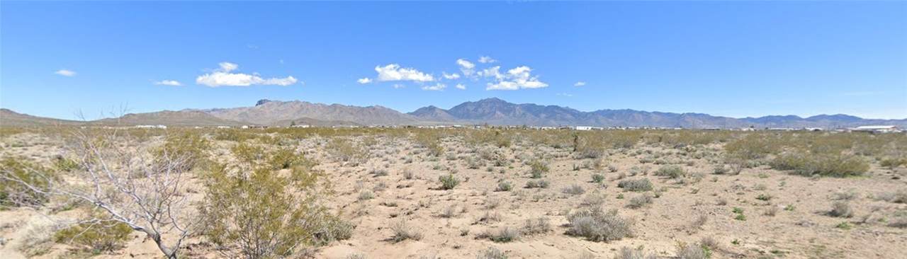 316-10-080 Coyote - Photo 1