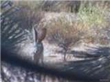 241-14-012 Tom Mix Road - Photo 12