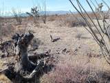 241-14-012 Tom Mix Road - Photo 14