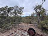 TBD Raven Butte Road - Photo 34