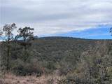 TBD Raven Butte Road - Photo 37