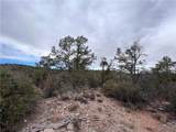 TBD Raven Butte Road - Photo 39