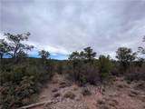 TBD Raven Butte Road - Photo 40