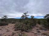 TBD Raven Butte Road - Photo 43