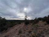 TBD Raven Butte Road - Photo 54
