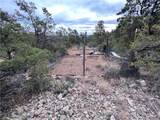 TBD Raven Butte Road - Photo 55