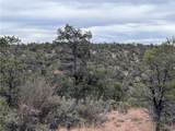 TBD Raven Butte Road - Photo 62