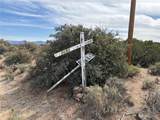 10690 Lan Drive - Photo 42