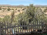10702 Lan Drive - Photo 15