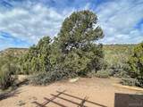 3415 Flying Eagle Road - Photo 39
