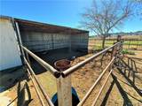 4295 Willow Road - Photo 48