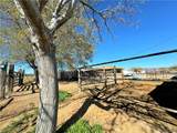 4295 Willow Road - Photo 56