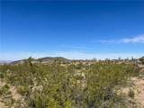 8929 White Hills Road - Photo 3