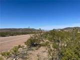 8929 White Hills Road - Photo 6
