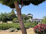 4185 Stardust Road - Photo 69