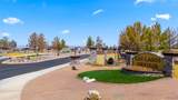 2445 E Calle Sevilla - Photo 97