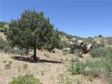 252-02-158 Oxen Pass - Photo 12