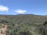 252-02-158 Oxen Pass - Photo 13