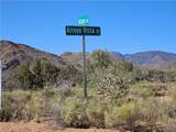 121-10-018 Alamo Road - Photo 1