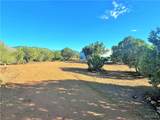 14941 Painted Hills Circle - Photo 21
