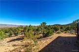 10614 Pine Valley Drive - Photo 46