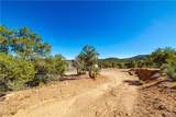 10614 Pine Valley Drive - Photo 59