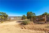 10614 Pine Valley Drive - Photo 60