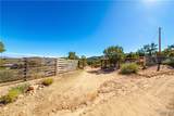 10614 Pine Valley Drive - Photo 62