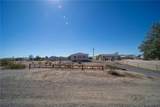 4908 Monarch Dr Drive - Photo 6