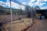 3245 Mapuana Trail - Photo 10
