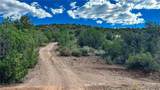 3245 Mapuana Trail - Photo 25