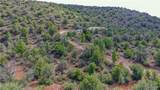 3245 Mapuana Trail - Photo 30