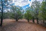 3245 Mapuana Trail - Photo 34
